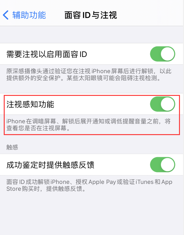 綦江苹果手机维修分享iPhone 12 不会自动锁屏怎么办 